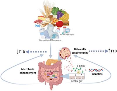 Early Nutrition and Risk of Type 1 Diabetes: The Role of Gut Microbiota